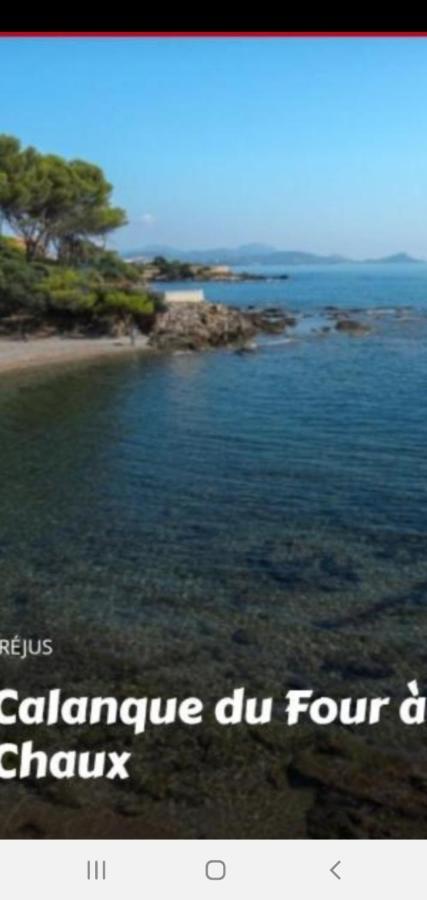 T2 Bord De Mer Avec Jardin Et Piscine Saint Aygulf Ngoại thất bức ảnh